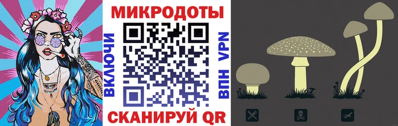 Псилоцибиновые грибы MAGIC MUSHROOMS  mega tor  Иркутск  дарнет шоп 